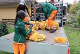 Stadtwerke Pfaffenhofen - Stadtwerke sammeln für Pfaffenhofener Apfelsaft