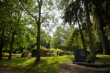 Stadtwerke Pfaffenhofen - Baumpflegearbeiten im Friedhof Altenstadt